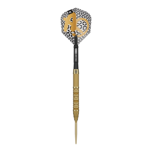 Target Bolide Envy 01 Swiss Point Steeldarts