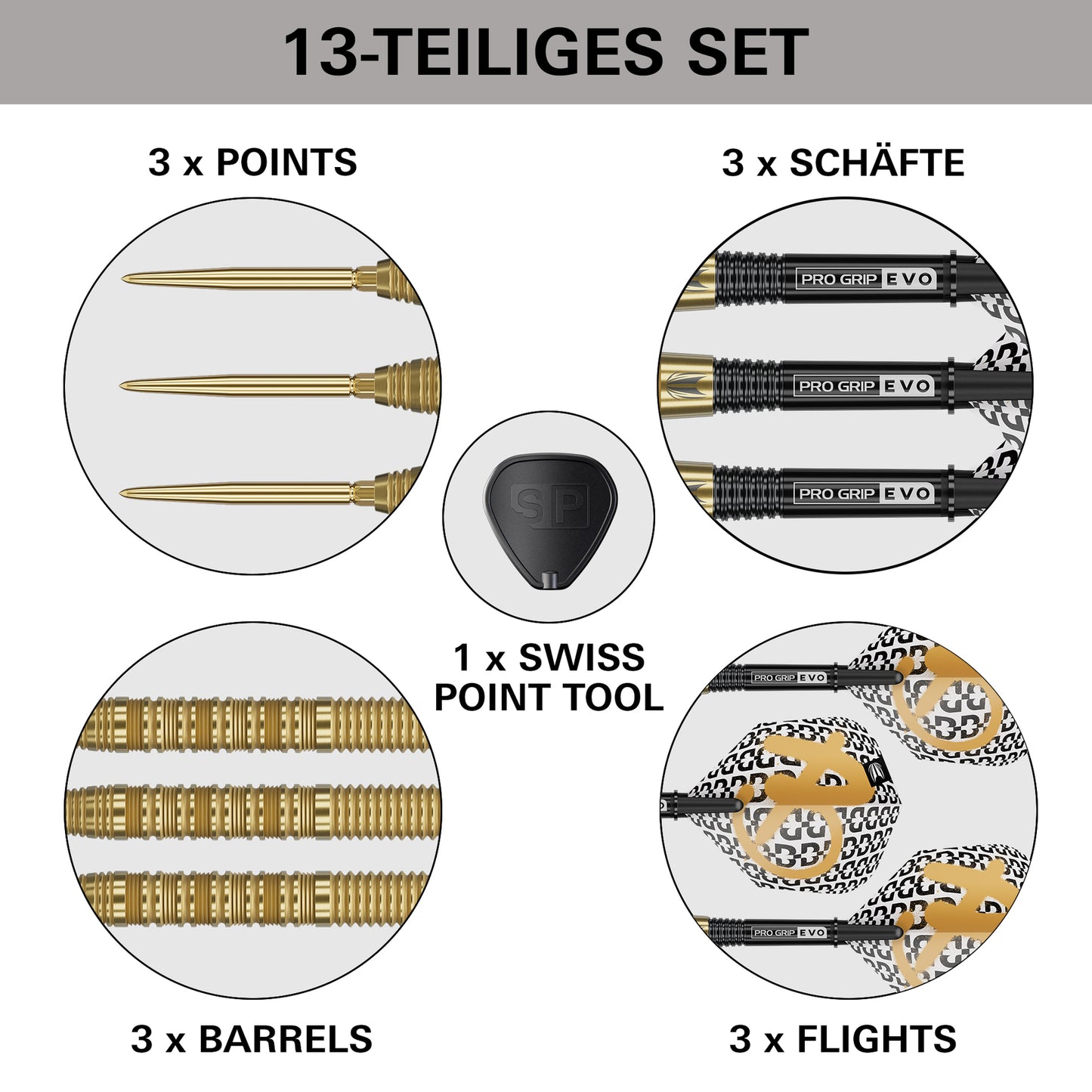 Target Bolide Envy 01 Swiss Point Steeldarts