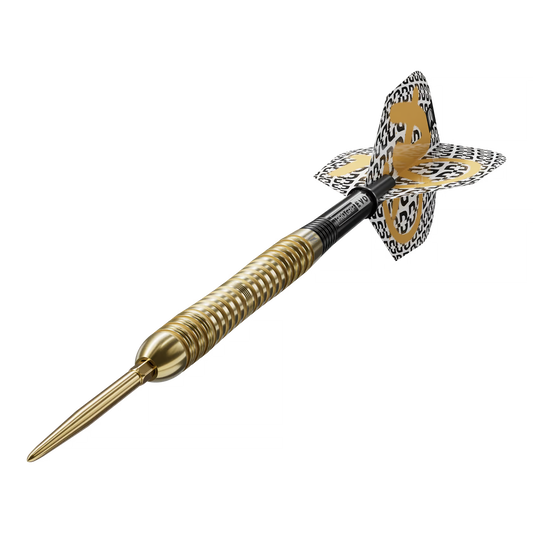 Target Bolide Envy 04 Swiss Point Steeldarts
