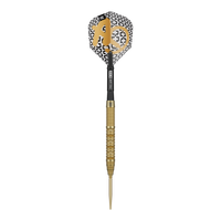 Target Bolide Envy 01 Swiss Point Steeldarts