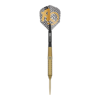Target Bolide Envy 02 Swiss Point Steeldarts