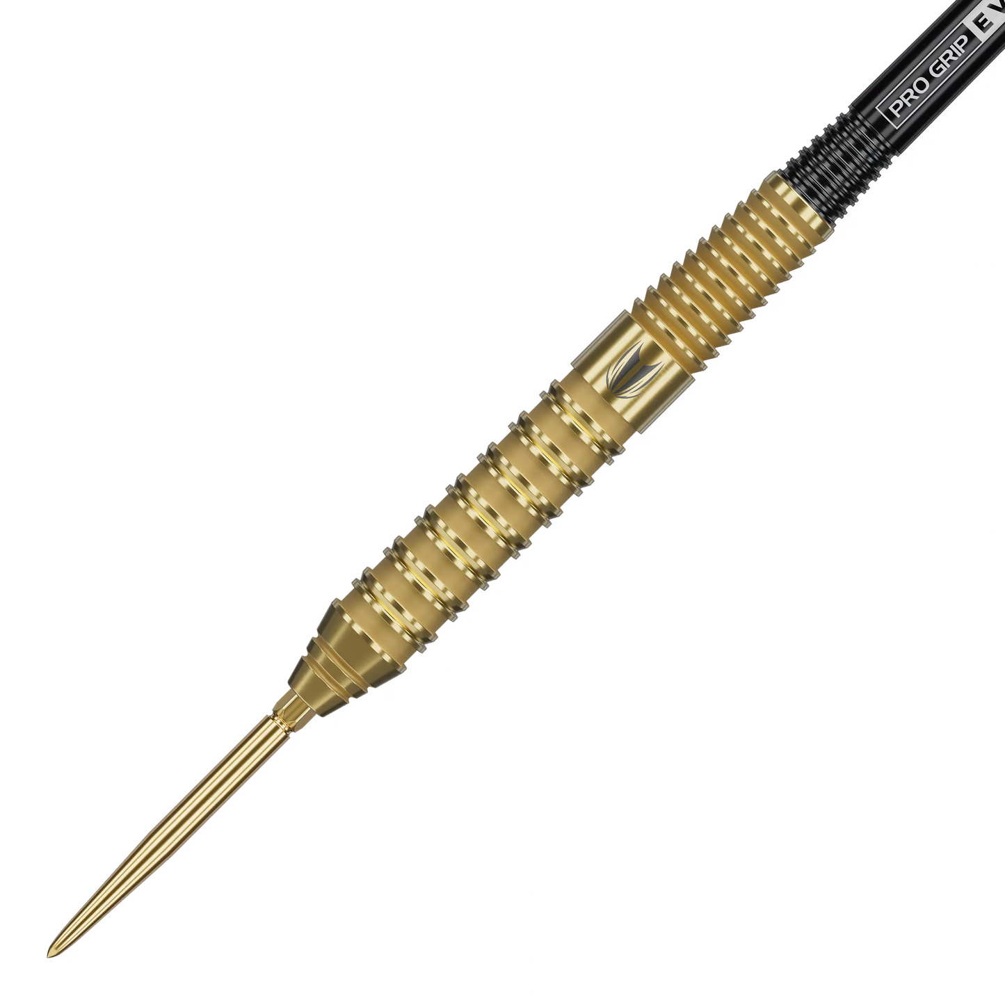 Target Bolide Envy 02 Swiss Point Steeldarts