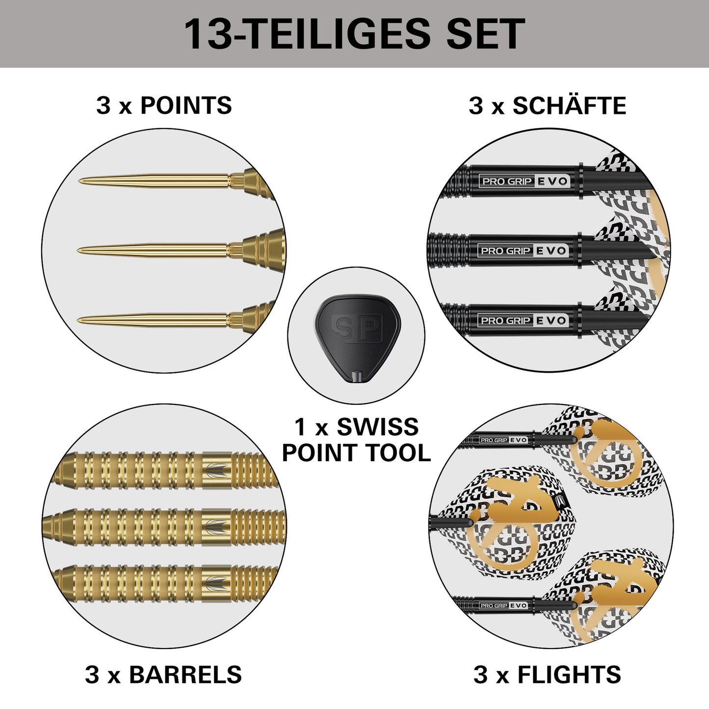 Target Bolide Envy 02 Swiss Point Steeldarts