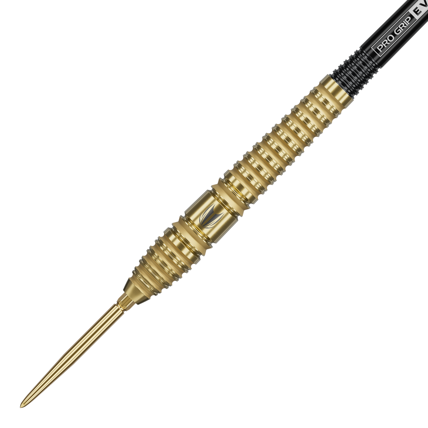 Target Bolide Envy 03 Swiss Point Steeldarts