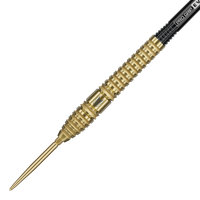 Target Bolide Envy 03 Swiss Point Steeldarts
