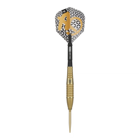Target Bolide Envy 05 Swiss Point Steeldarts
