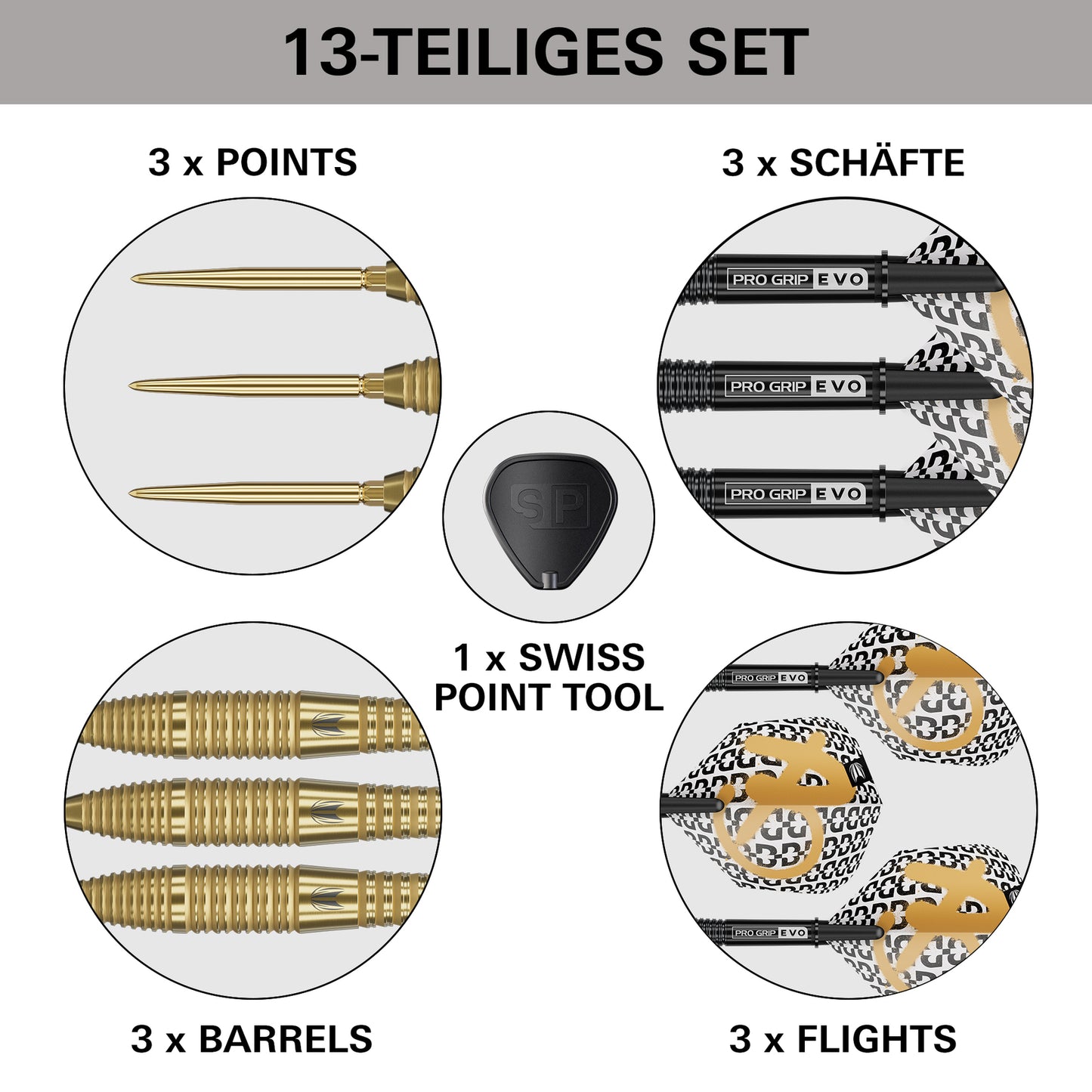 Target Bolide Envy 05 Swiss Point Steeldarts
