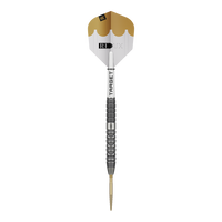 Target Redux 01 Swiss Point Steeldarts