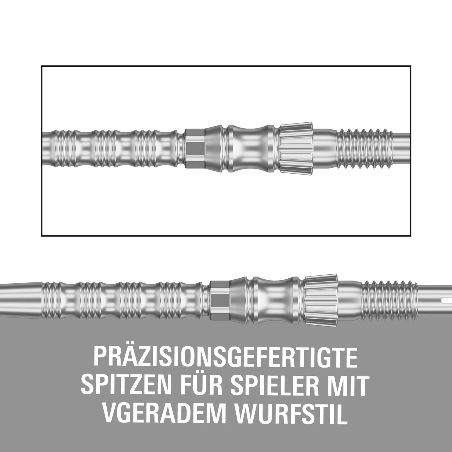 Target Signature Swiss Point TRB Steeldartspitzen - Silber