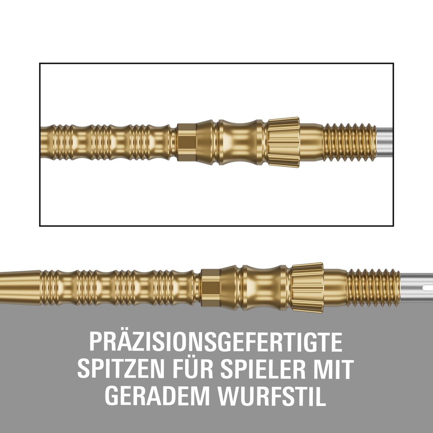 Target Signature Swiss Point TRB Steeldartspitzen - Gold