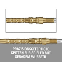 Target Signature Swiss Point TRB Steeldartspitzen - Gold