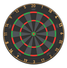 Bulls NL Advantage Black-Edition Steeldartboard