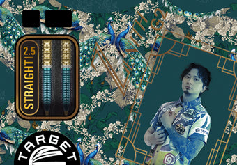 compare product Target Japan PRIME SERIES ZENITH GEN 2.5 90% SP STEEL TIP DARTS